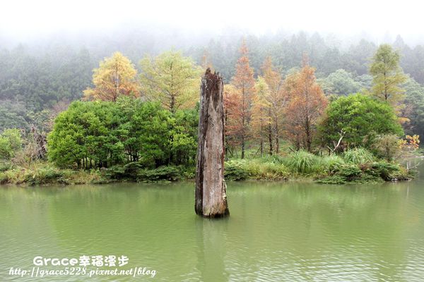PhotoCap_IMG_4760 PhotoCap_IMG_4760