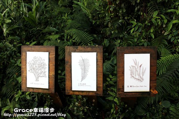 宜蘭明池森林遊樂園區
