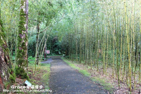 PhotoCap_IMG_4834 宜蘭明池森林遊樂園區