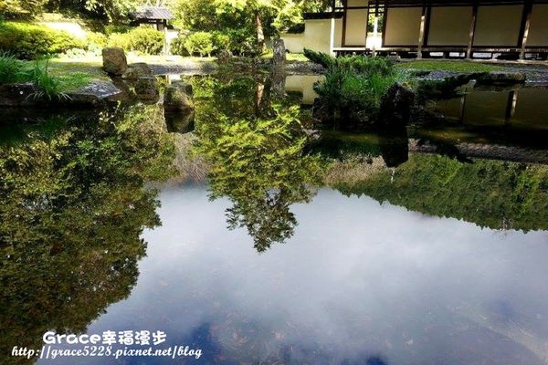 PhotoCap_1396717_10202622957474683_30329382_n PhotoCap_1396717_10202622957474683_30329382_n