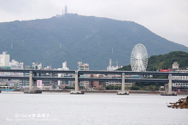 PhotoCap_IMG_3112