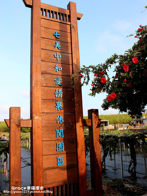 火龍果園