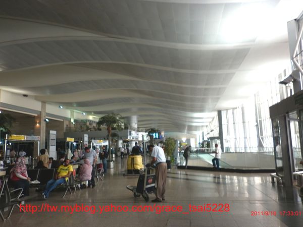 P1010311