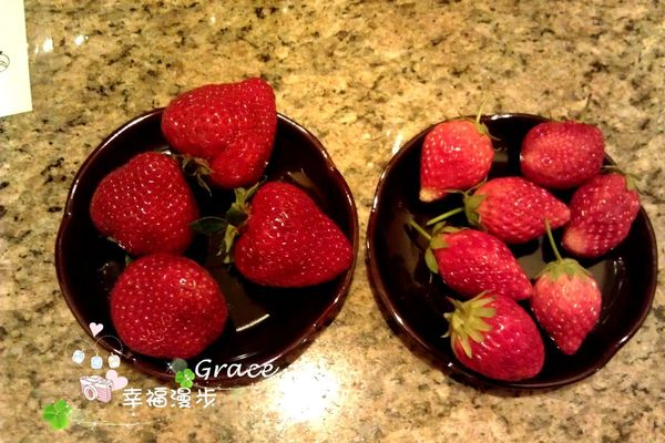 PhotoCap_899367_10201189276993567_1261471505_o PhotoCap_899367_10201189276993567_1261471505_o