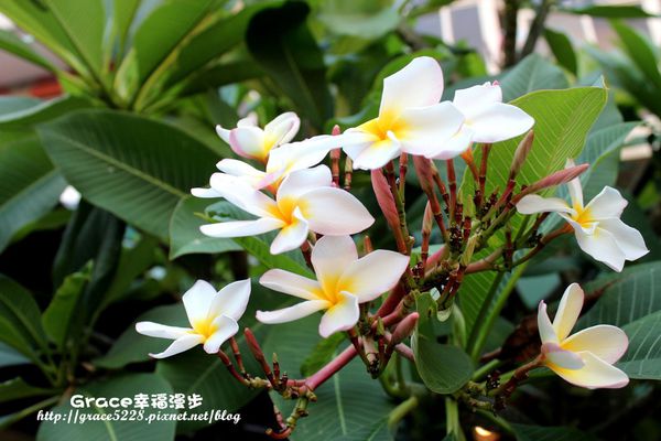 PhotoCap_IMG_2592.jpg