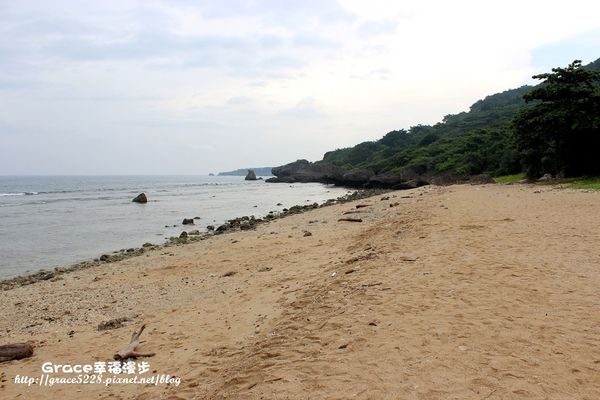 PhotoCap_IMG_2072.jpg PhotoCap_IMG_2072.jpg