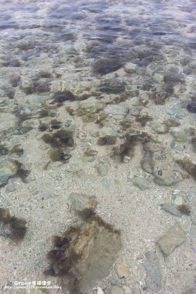 PhotoCap_1007518_10201507707194123_794612548_o.jpg PhotoCap_1007518_10201507707194123_794612548_o.jpg