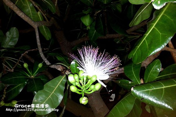 PhotoCap_992157_10201510068493154_1448923818_o PhotoCap_992157_10201510068493154_1448923818_o