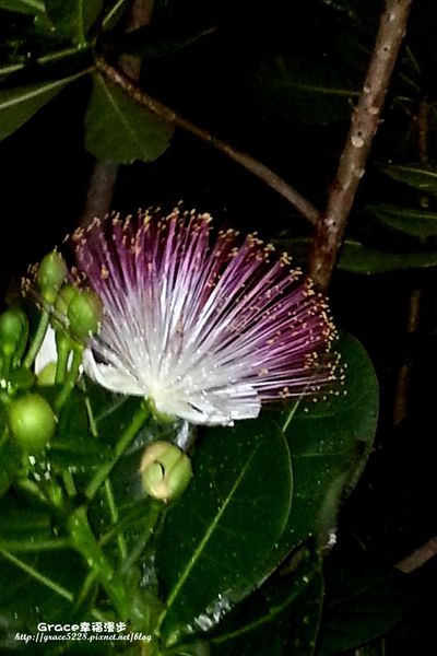 PhotoCap_1007644_10201509868208147_673084966_o PhotoCap_1007644_10201509868208147_673084966_o