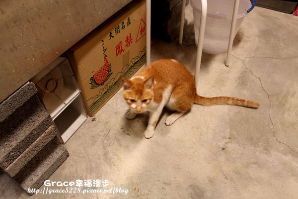 寶藏巖國際藝術村