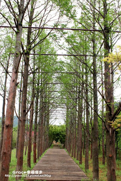 真愛桃花源婚紗攝影基地 