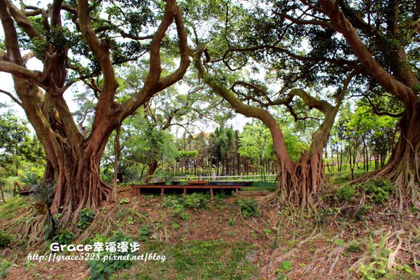 真愛桃花源婚紗攝影基地 