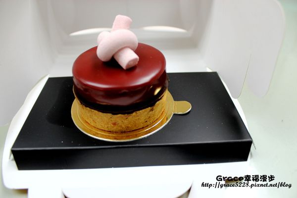 PhotoCap_IMG_9911 PhotoCap_IMG_9911