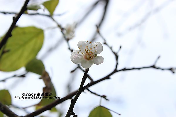 IMG_9146