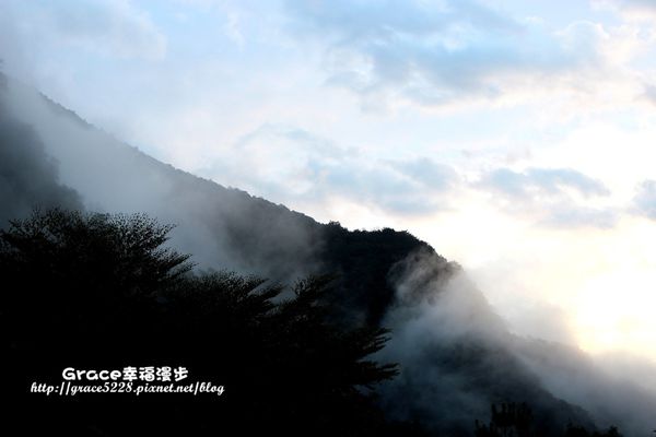 霧鹿峽谷