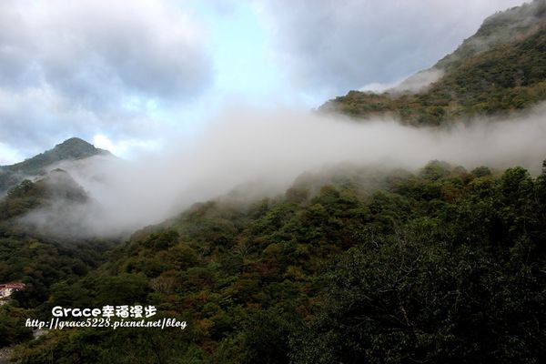 霧鹿峽谷