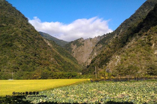 南橫東段20號公路