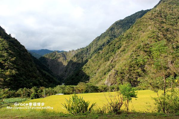 南橫東段20號公路