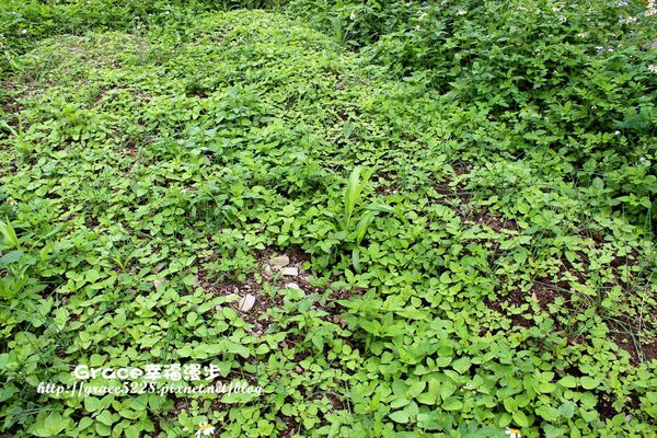 PhotoCap_IMG_8838_001 PhotoCap_IMG_8838_001