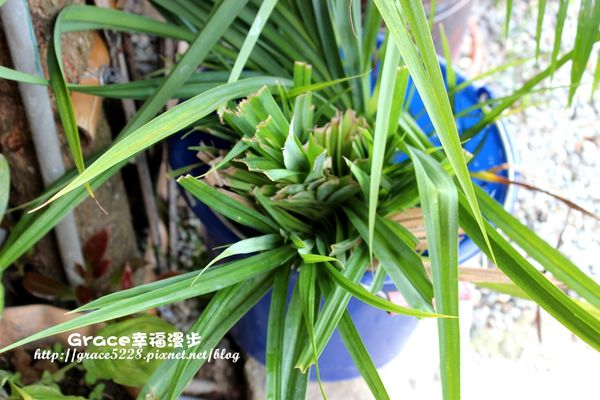 PhotoCap_IMG_8848_004 PhotoCap_IMG_8848_004