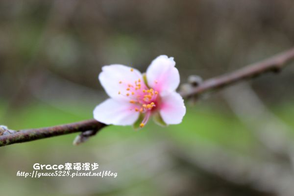 PhotoCap_IMG_8868_018 PhotoCap_IMG_8868_018
