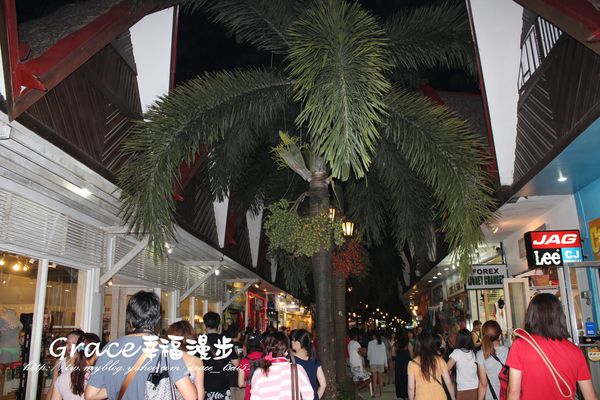 PhotoCap_013