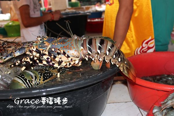 PhotoCap_042