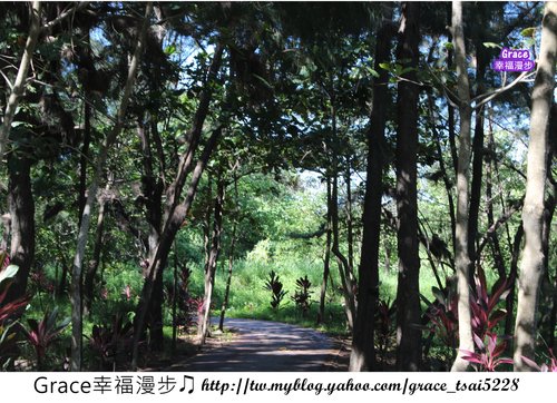 台東森林公園