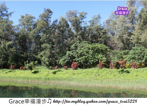 台東森林公園
