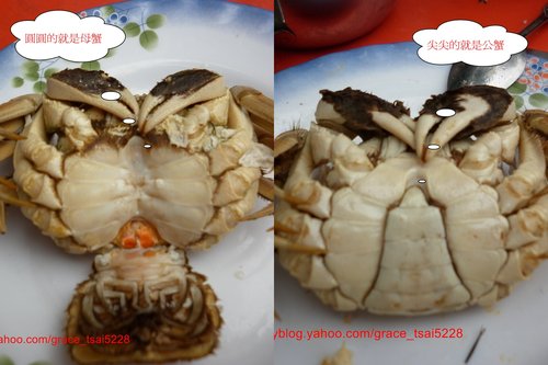 親泉農場大閘蟹的圖片,親泉農莊