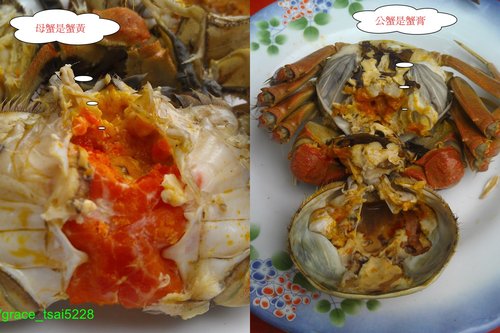 親泉農場大閘蟹的圖片,親泉農莊