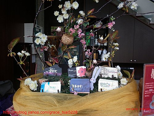 新月梧桐