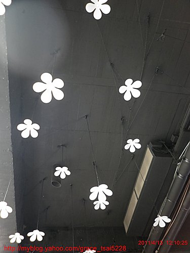 新月梧桐
