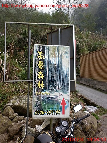 忘憂森林