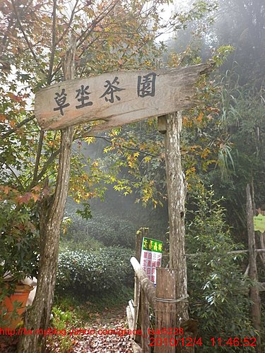 忘憂森林 忘憂森林