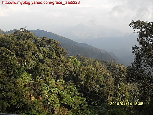 雲頂高原 