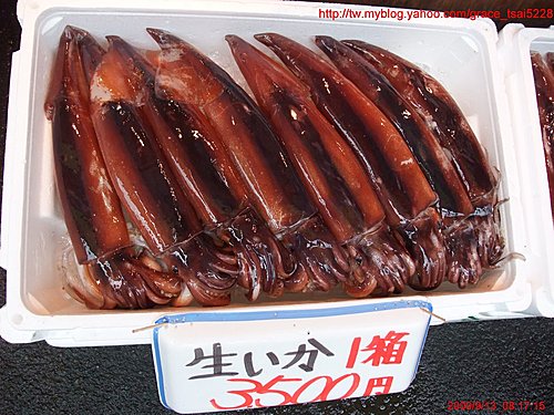  函館朝市