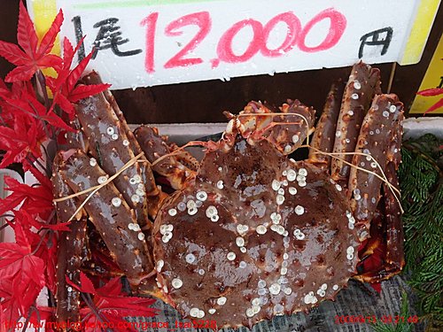  函館朝市