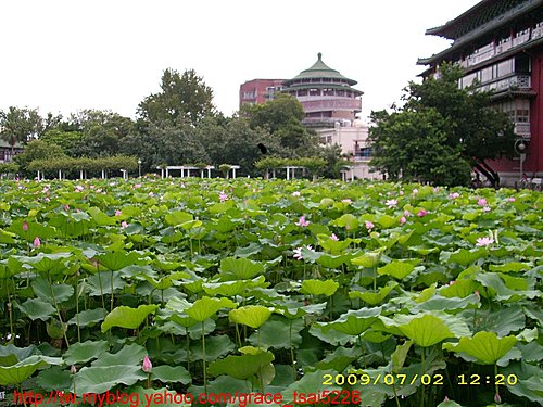 台北國立歷史博物館