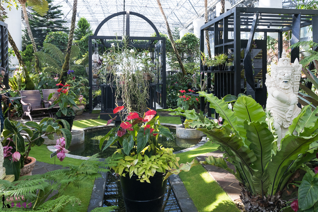 淡路島奇跡の星の植物館,淡路島景點 淡路島奇跡の星の植物館,淡路島景點