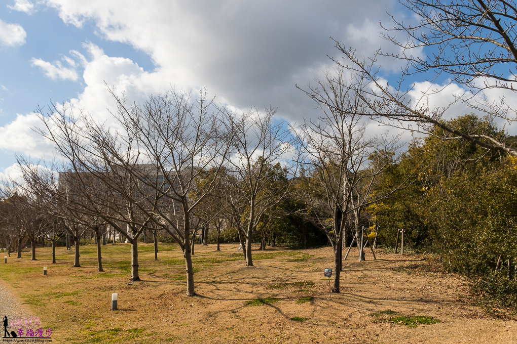 淡路島奇跡の星の植物館,淡路島景點 淡路島奇跡の星の植物館,淡路島景點