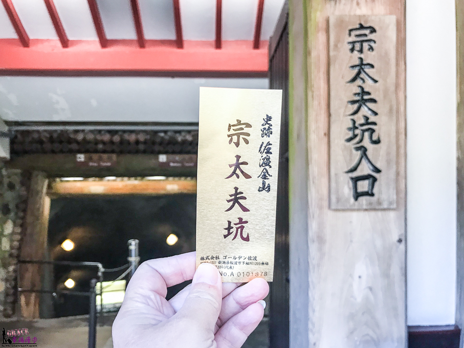 新潟旅遊景點懶人包