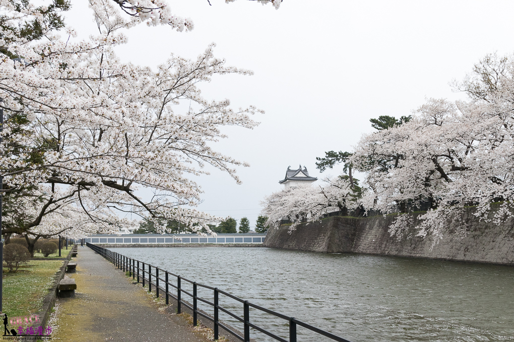新潟市,新潟新發田城,新潟旅遊,新潟景點,新發田城,日本東北ㄅ,日本賞櫻