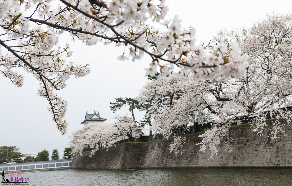 新潟市,新潟新發田城,新潟旅遊,新潟景點,新發田城,日本東北ㄅ,日本賞櫻