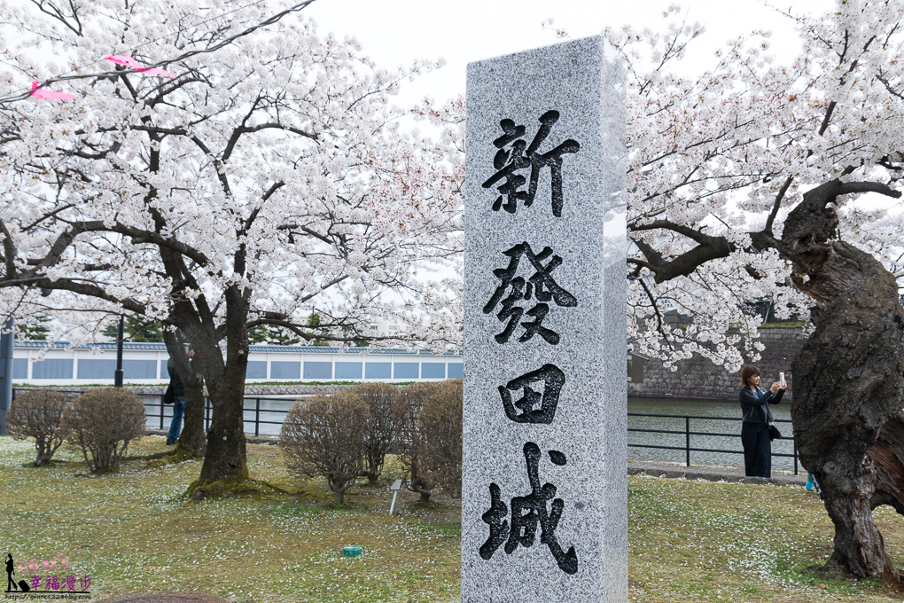 新潟市,新潟新發田城,新潟旅遊,新潟景點,新發田城,日本東北ㄅ,日本賞櫻