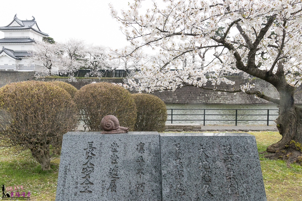 新潟市,新潟新發田城,新潟旅遊,新潟景點,新發田城,日本東北ㄅ,日本賞櫻