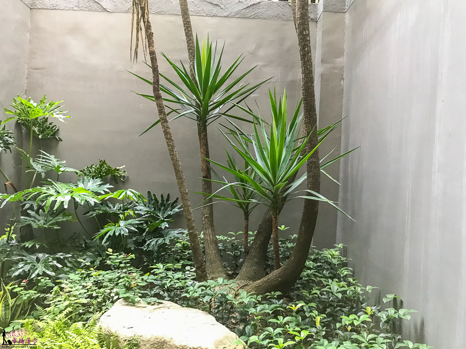 挪威森林台中漫活館