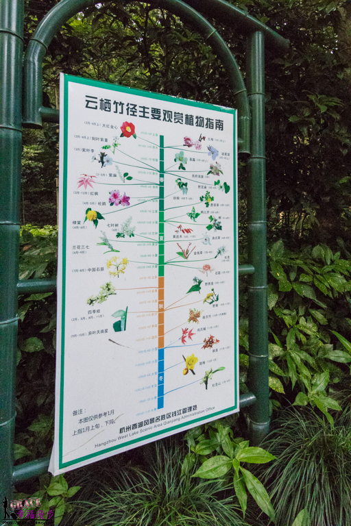 雲棲竹徑