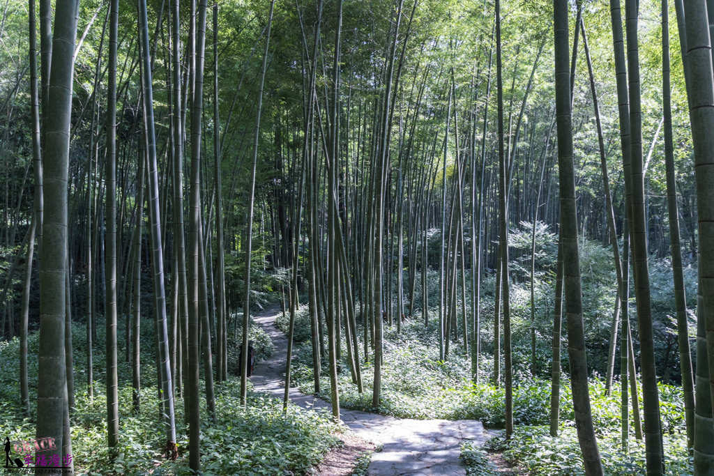 雲棲竹徑 雲棲竹徑