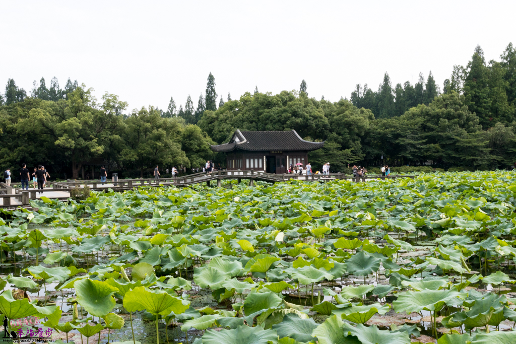 杭州西湖